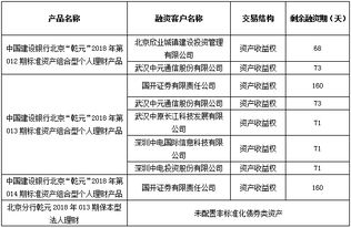 北京市分行投资管理的战略定位与实施路径